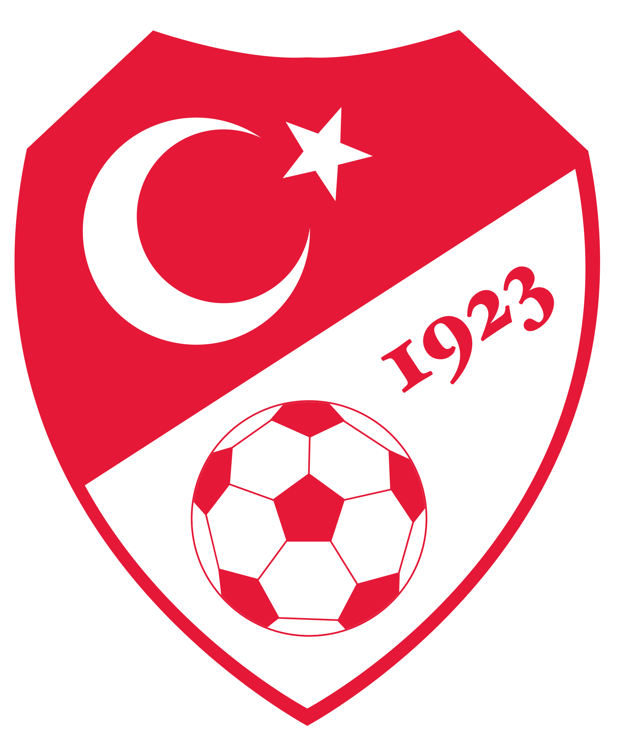 Türkiye Futbol Federasyonu